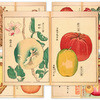 Thumbnail Vintage Japan Botanical - Junk Journal Pages Set #2