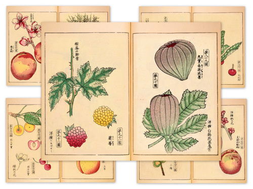 Product picture Vintage Japan Botanical - Junk Journal Pages Set #1