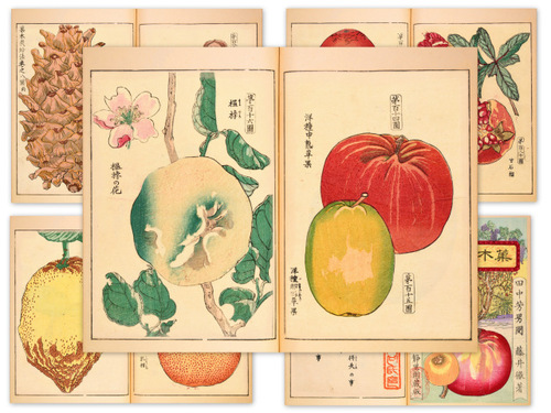 Product picture Vintage Japan Botanical - Junk Journal Pages Set #2